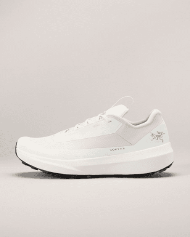Norvan LD 4 GTX W's Arctic Silk / Arctic Silk