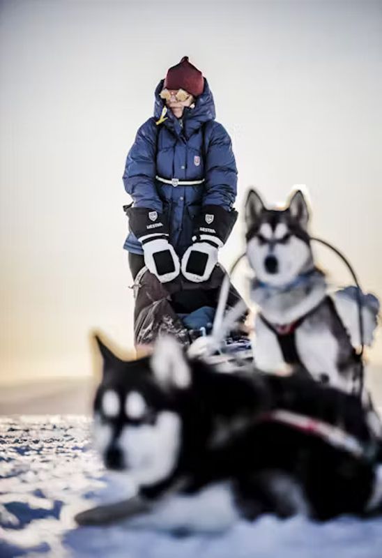 Hestra Sirius Polar Mitt Natural grey & black