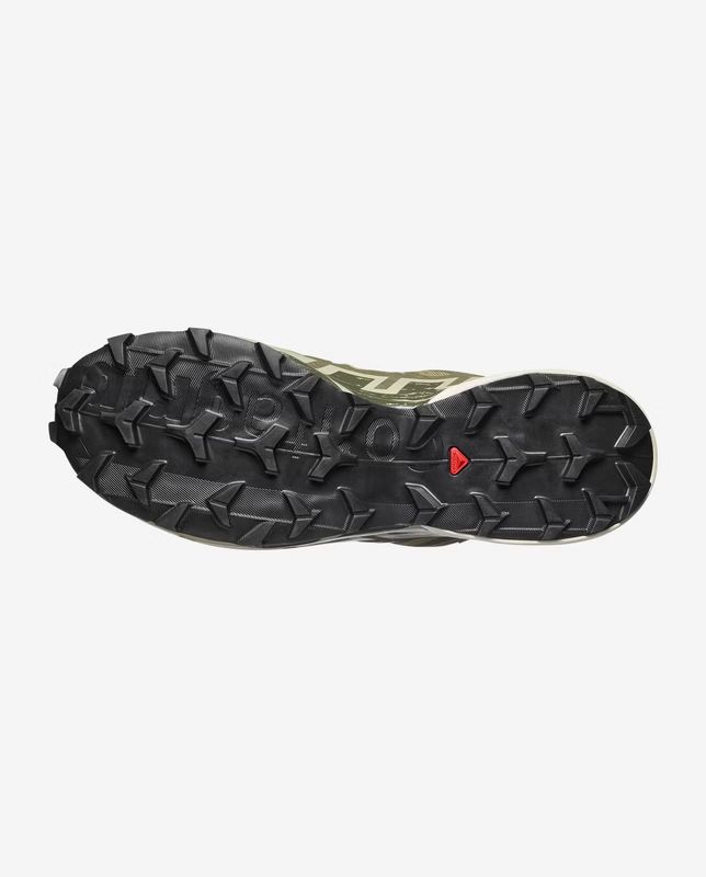 SPEEDCROSS 6 GTX Aloe / Aspargus Green